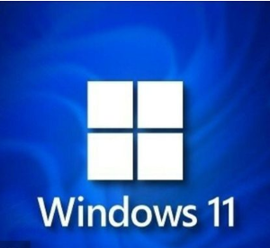 Windows 11 Pro + Office 2021 – Instant Digital Download